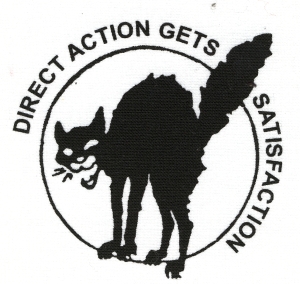 direct-action-gets-satisfaction_dlf61332-16.jpg