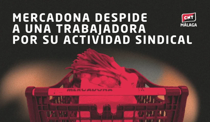 Mercadona despide a una trabajadora por su actividad sindical. En la imagen se ve un carrito de Mercadona.